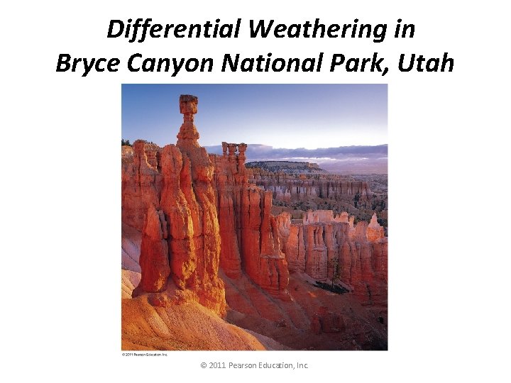 Differential Weathering in Bryce Canyon National Park, Utah © 2011 Pearson Education, Inc. 