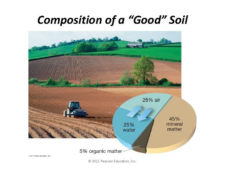 Composition of a “Good” Soil © 2011 Pearson Education, Inc. 