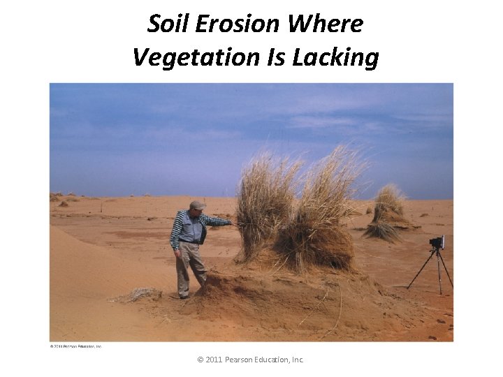 Soil Erosion Where Vegetation Is Lacking © 2011 Pearson Education, Inc. 