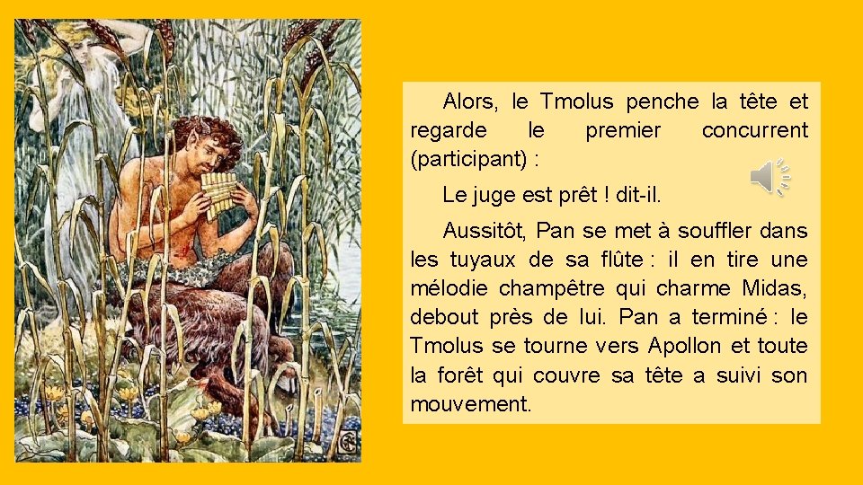 Alors, le Tmolus penche la tête et regarde le premier concurrent (participant) : Le