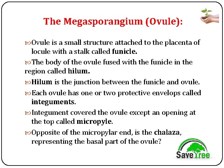 The Megasporangium (Ovule): Ovule is a small structure attached to the placenta of locule
