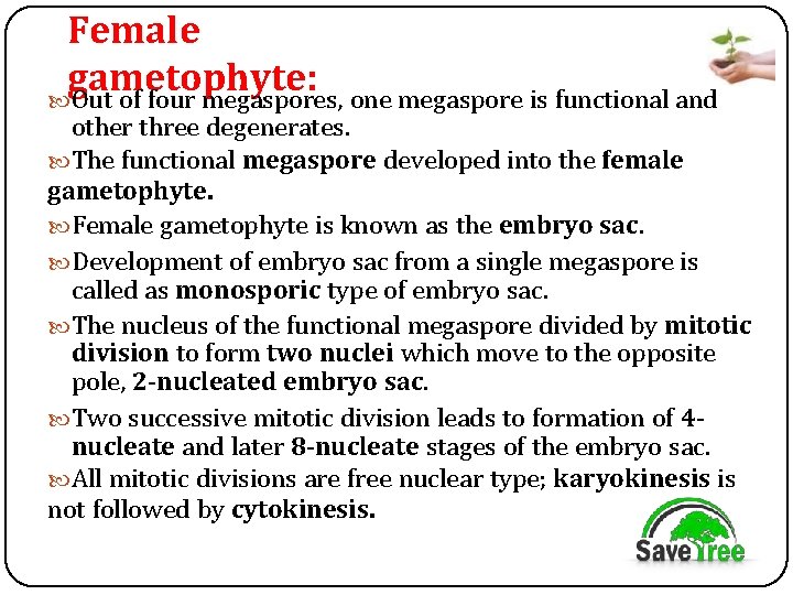 Female gametophyte: Out of four megaspores, one megaspore is functional and other three degenerates.