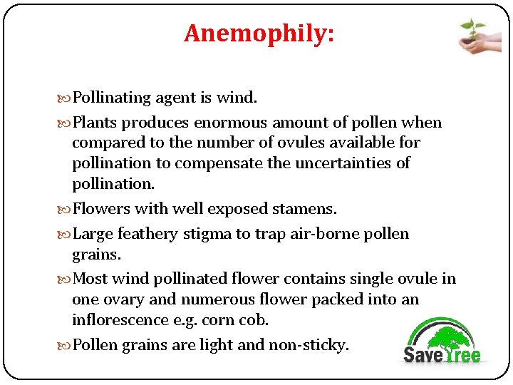 Anemophily: Pollinating agent is wind. Plants produces enormous amount of pollen when compared to