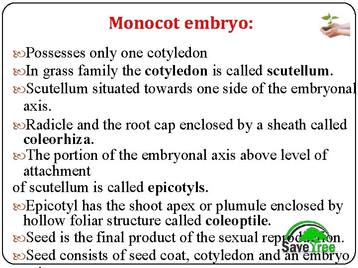 Monocot embryo: Possesses only one cotyledon In grass family the cotyledon is called scutellum.