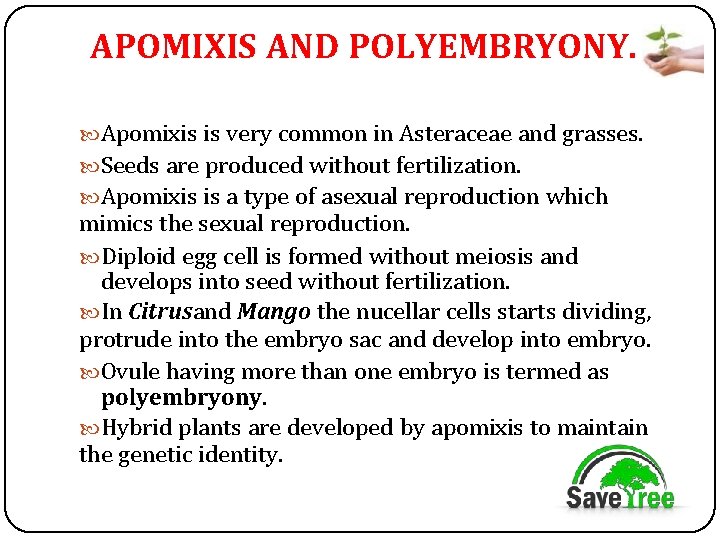 APOMIXIS AND POLYEMBRYONY. Apomixis is very common in Asteraceae and grasses. Seeds are produced