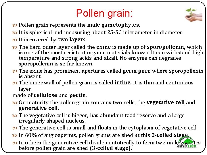 Pollen grain: Pollen grain represents the male gametophytes. It is spherical and measuring about