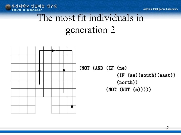 The most fit individuals in generation 2 15 