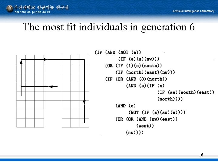 The most fit individuals in generation 6 16 