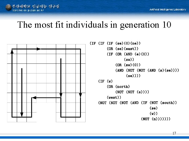 The most fit individuals in generation 10 17 
