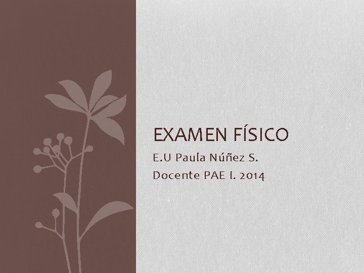 EXAMEN FÍSICO E. U Paula Núñez S. Docente PAE I. 2014 EXAMEN FÍSICO E. U Paula Núñez S. Docente PAE I. 2014