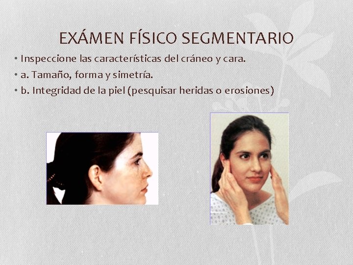 EXÁMEN FÍSICO SEGMENTARIO • Inspeccione las características del cráneo y cara. • a. Tamaño, EXÁMEN FÍSICO SEGMENTARIO • Inspeccione las características del cráneo y cara. • a. Tamaño,
