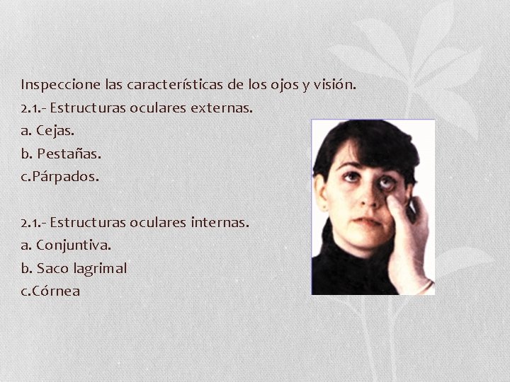 Inspeccione las características de los ojos y visión. 2. 1. - Estructuras oculares externas. Inspeccione las características de los ojos y visión. 2. 1. - Estructuras oculares externas.