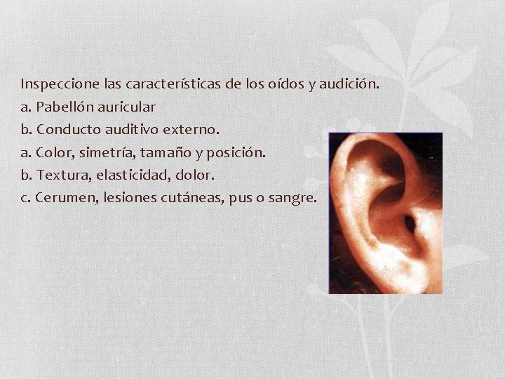 Inspeccione las características de los oídos y audición. a. Pabellón auricular b. Conducto auditivo Inspeccione las características de los oídos y audición. a. Pabellón auricular b. Conducto auditivo