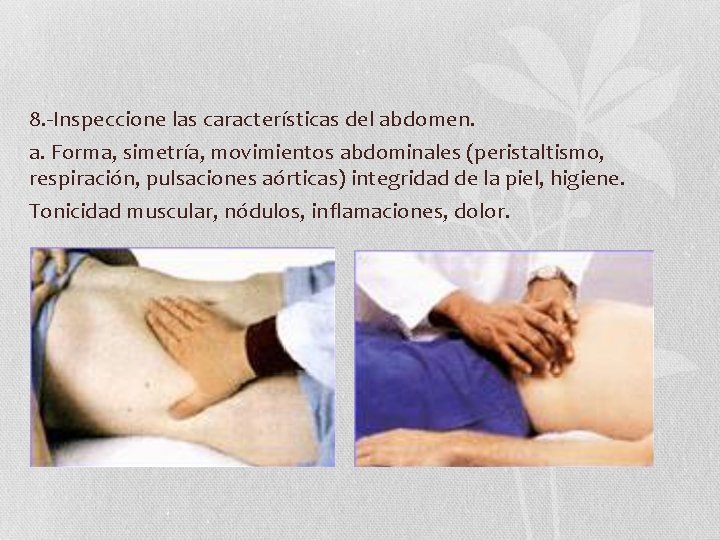 8. -Inspeccione las características del abdomen. a. Forma, simetría, movimientos abdominales (peristaltismo, respiración, pulsaciones 8. -Inspeccione las características del abdomen. a. Forma, simetría, movimientos abdominales (peristaltismo, respiración, pulsaciones