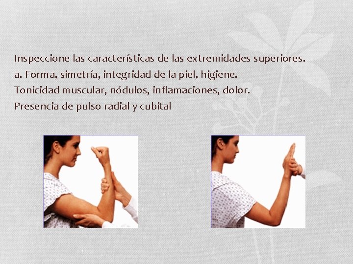 Inspeccione las características de las extremidades superiores. a. Forma, simetría, integridad de la piel, Inspeccione las características de las extremidades superiores. a. Forma, simetría, integridad de la piel,