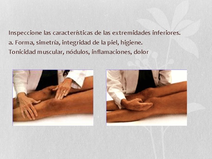 Inspeccione las características de las extremidades inferiores. a. Forma, simetría, integridad de la piel, Inspeccione las características de las extremidades inferiores. a. Forma, simetría, integridad de la piel,