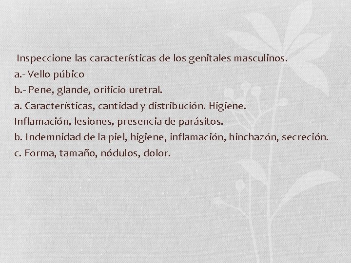 Inspeccione las características de los genitales masculinos. a. - Vello púbico b. - Pene, Inspeccione las características de los genitales masculinos. a. - Vello púbico b. - Pene,