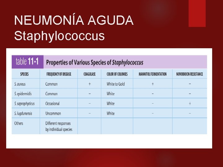 NEUMONÍA AGUDA Staphylococcus 