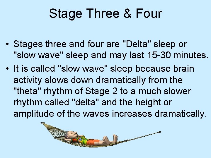 Stage Three & Four • Stages three and four are "Delta" sleep or "slow