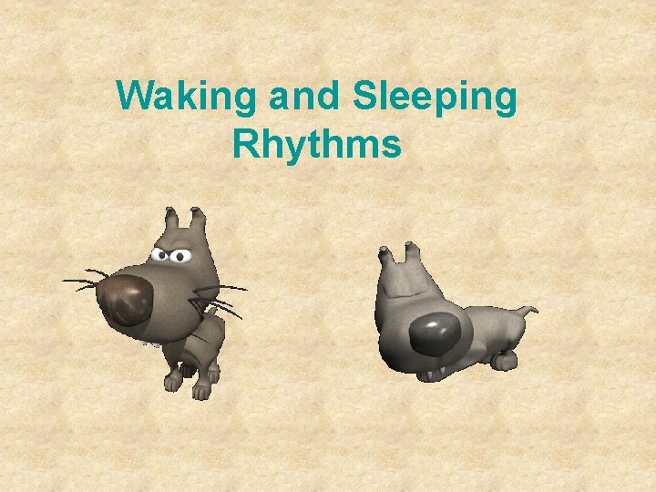 Waking and Sleeping Rhythms 