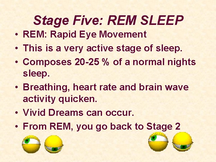 Stage Five: REM SLEEP • REM: Rapid Eye Movement • This is a very