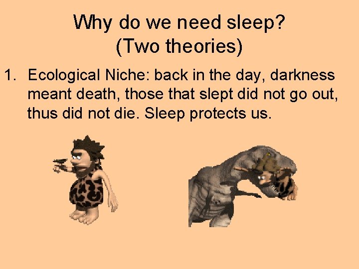 Why do we need sleep? (Two theories) 1. Ecological Niche: back in the day,