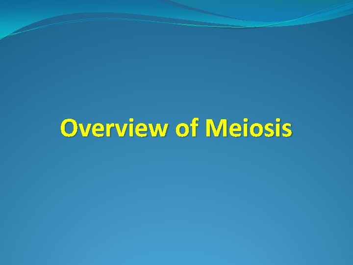 Overview of Meiosis Overview of Meiosis