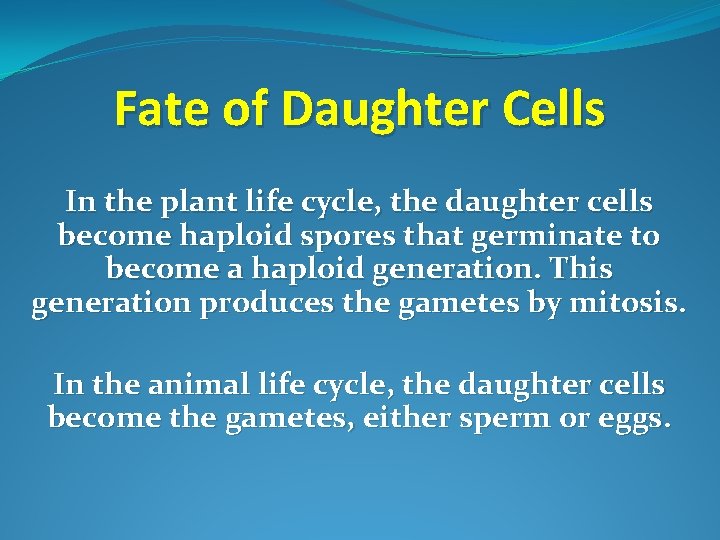 Fate of Daughter Cells In the plant life cycle, the daughter cells become haploid