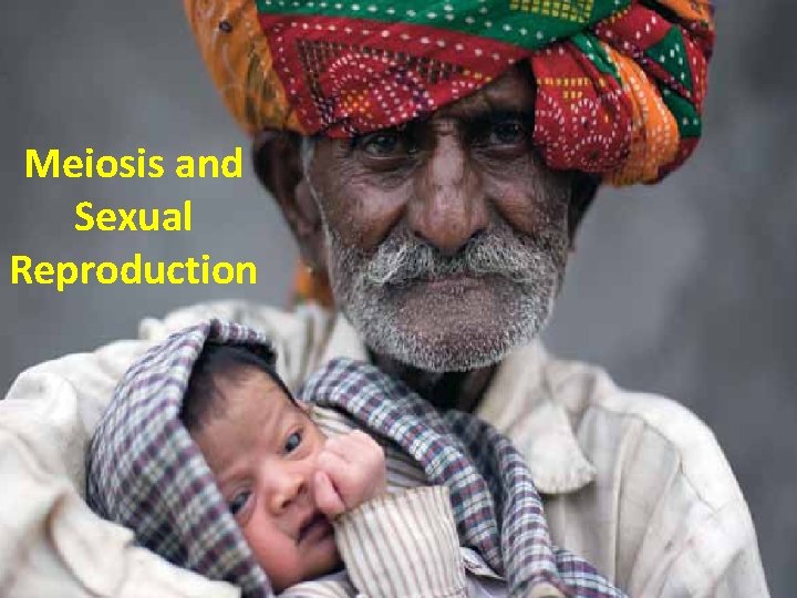 Meiosis and Sexual Reproduction Meiosis and Sexual Reproduction