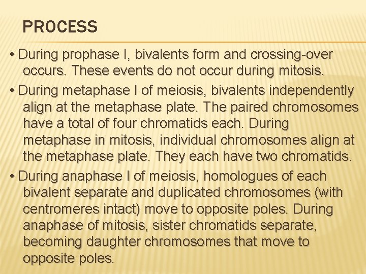 PROCESS • During prophase I, bivalents form and crossing-over occurs. These events do not PROCESS • During prophase I, bivalents form and crossing-over occurs. These events do not