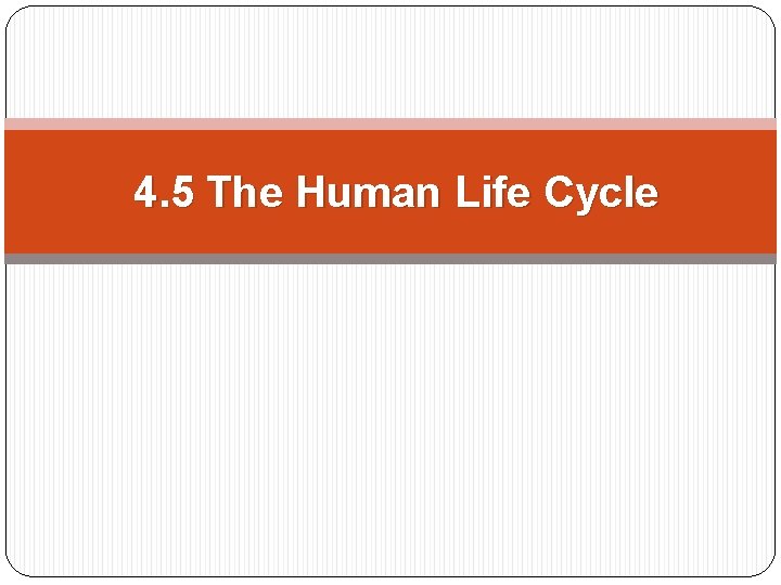 4. 5 The Human Life Cycle 