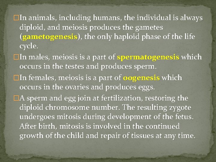 �In animals, including humans, the individual is always diploid, and meiosis produces the gametes