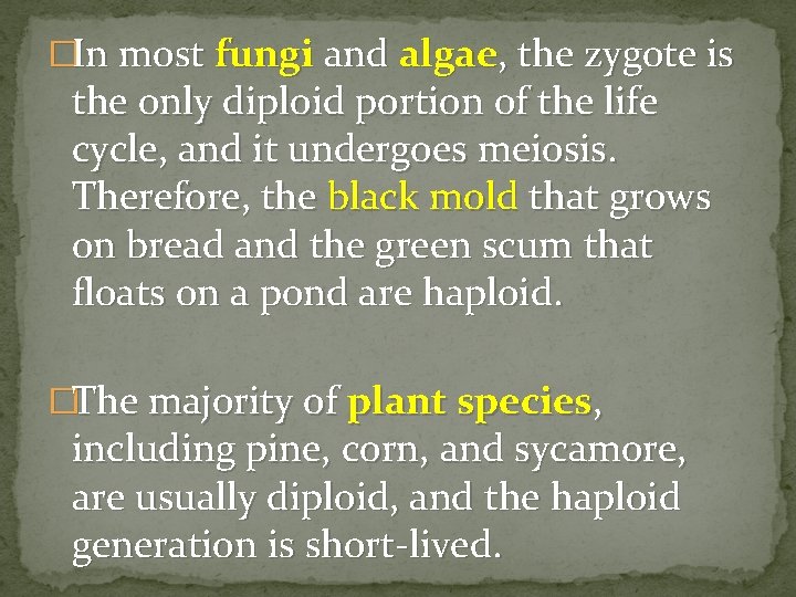 �In most fungi and algae, the zygote is the only diploid portion of the �In most fungi and algae, the zygote is the only diploid portion of the