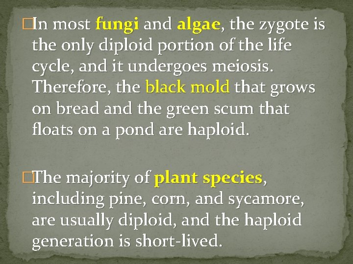 �In most fungi and algae, the zygote is the only diploid portion of the