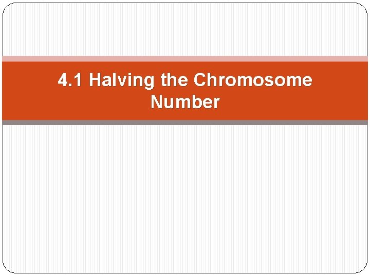 4. 1 Halving the Chromosome Number 4. 1 Halving the Chromosome Number