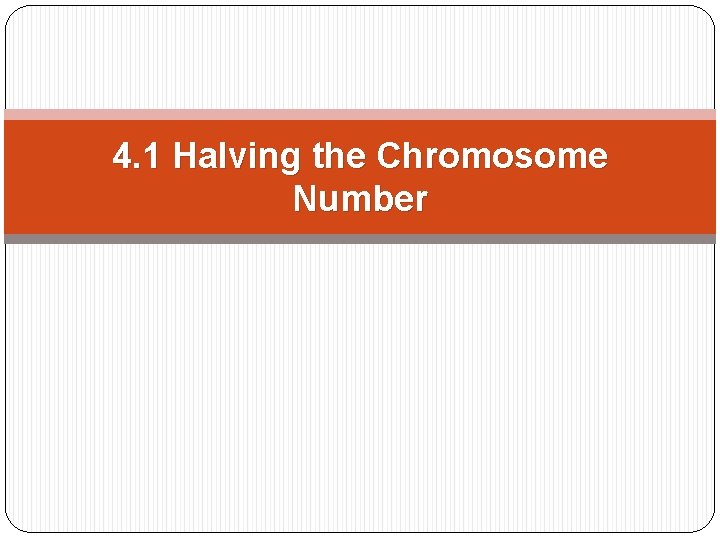 4. 1 Halving the Chromosome Number 