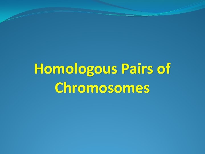 Homologous Pairs of Chromosomes Homologous Pairs of Chromosomes