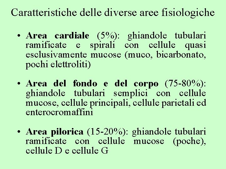 Caratteristiche delle diverse aree fisiologiche • Area cardiale (5%): ghiandole tubulari ramificate e spirali