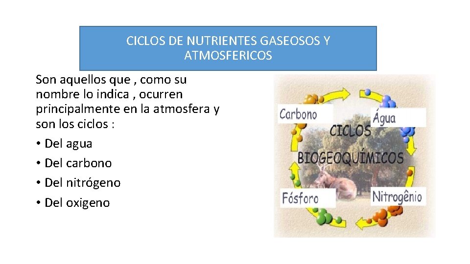 CICLOS DE NUTRIENTES GASEOSOS Y ATMOSFERICOS Son aquellos