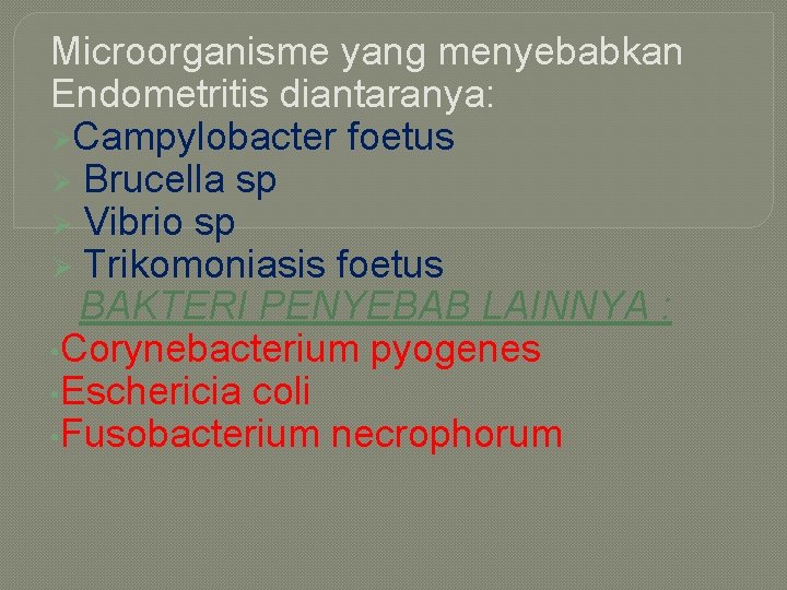 Microorganisme yang menyebabkan Endometritis diantaranya: ØCampylobacter foetus Ø Brucella sp Ø Vibrio sp Ø