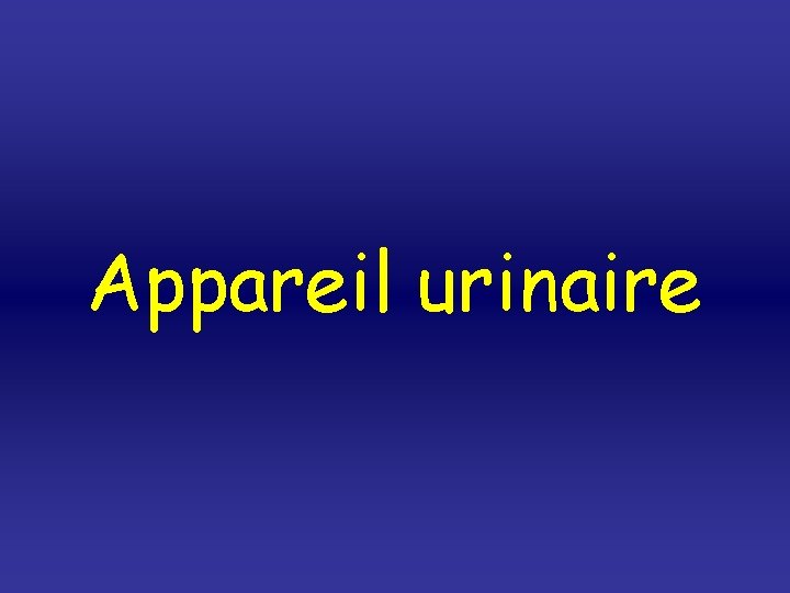 Appareil urinaire 