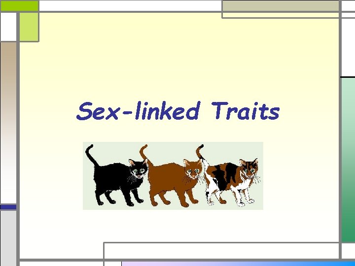 Sex-linked Traits 