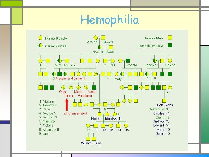 Hemophilia 