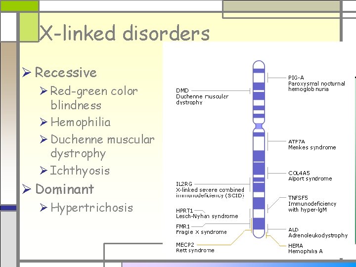 X-linked disorders Ø Recessive Ø Red-green color blindness Ø Hemophilia Ø Duchenne muscular dystrophy