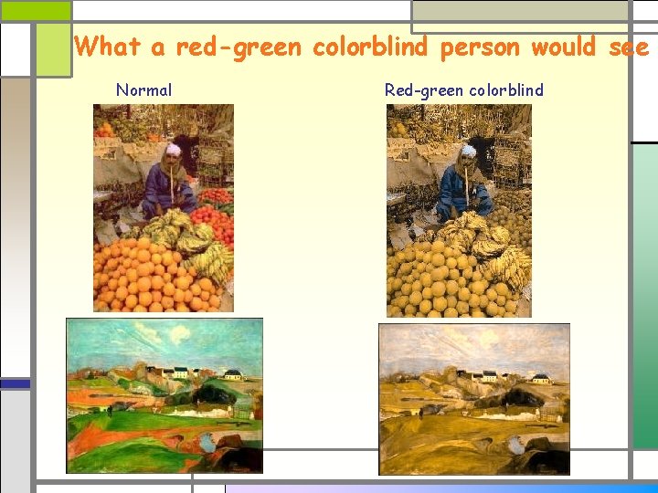 What a red-green colorblind person would see Normal Red-green colorblind 