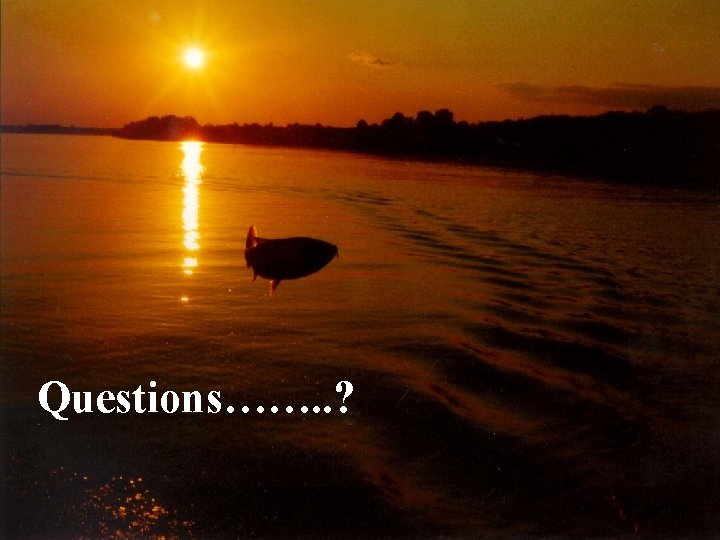 Questions……. . ? 