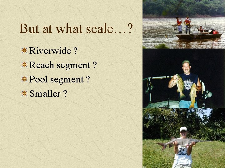 But at what scale…? Riverwide ? Reach segment ? Pool segment ? Smaller ?