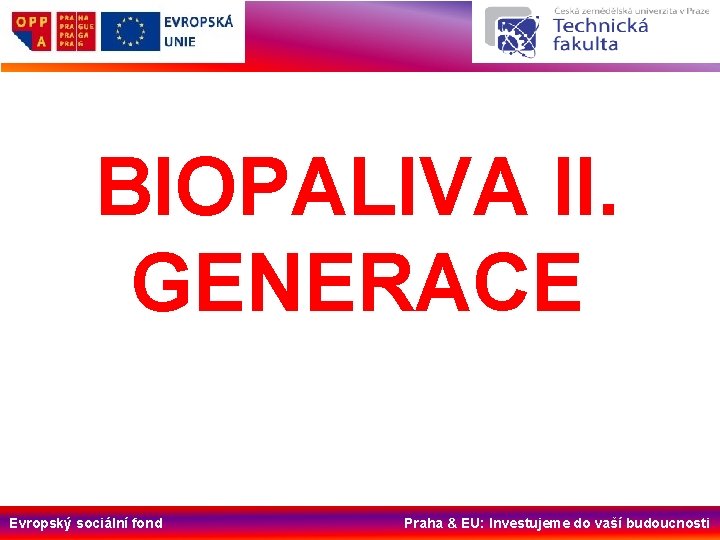 BIOPALIVA II. GENERACE Evropský sociální fond Praha & EU: Investujeme do vaší budoucnosti 