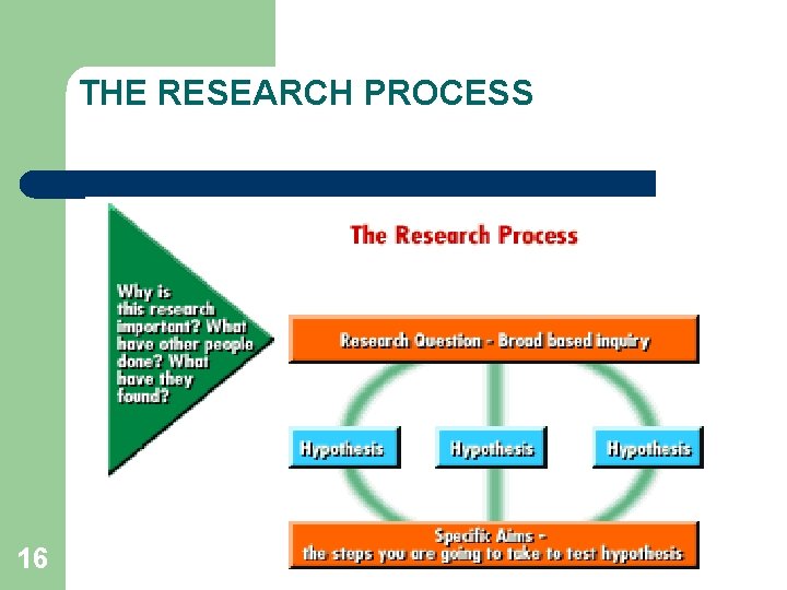 THE RESEARCH PROCESS 16 