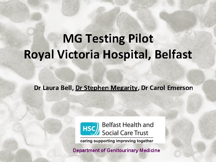 MG Testing Pilot Royal Victoria Hospital, Belfast Dr Laura Bell, Dr Stephen Megarity, Dr